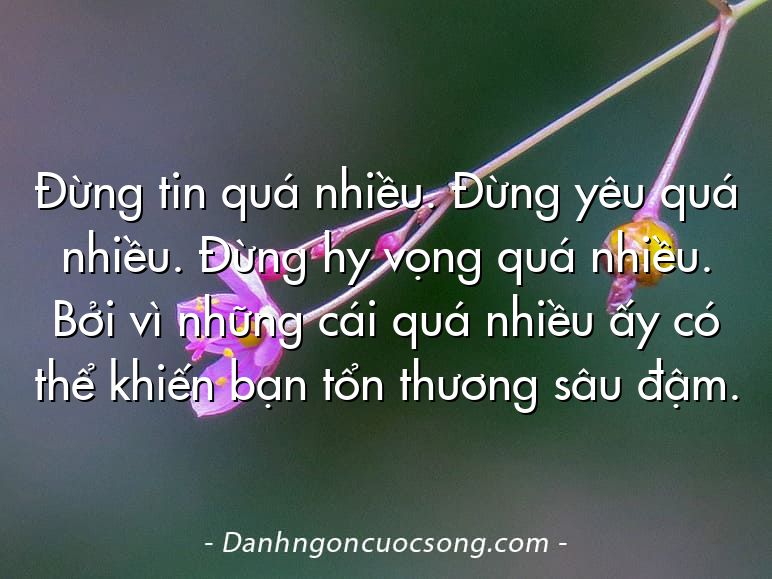 Đừng tin quá nhiều. Đừng yêu quá nhiều. Đừng hy vọng quá nhiều. Bởi vì những cái quá nhiều ấy có thể khiến bạn tổn thương sâu đậm.