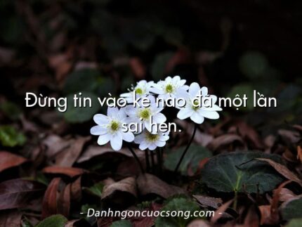 Đừng tin vào kẻ nào đã một lần sai hẹn.