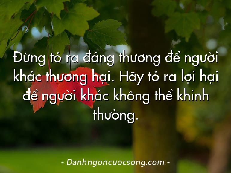 Đừng tỏ ra đáng thương để người khác thương hại. Hãy tỏ ra lợi hại để người khác không thể khinh thường.