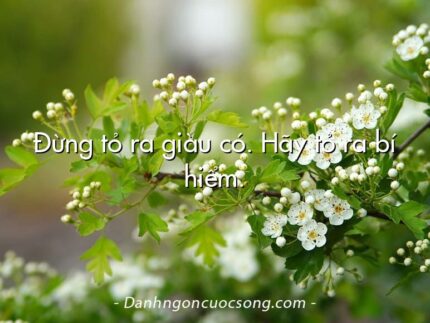 Đừng tỏ ra giàu có. Hãy tỏ ra bí hiểm.