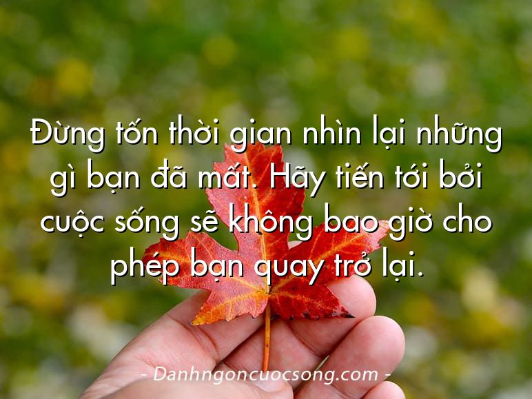 Đừng tốn thời gian nhìn lại những gì bạn đã mất. Hãy tiến tới bởi cuộc sống sẽ không bao giờ cho phép bạn quay trở lại.