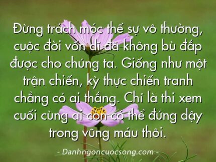Đừng trách móc thế sự vô thường, cuộc đời vốn dĩ đã không bù đắp được cho chúng ta. Giống như một trận chiến, kỳ thực chiến tranh chẳng có ai thắng. Chỉ là thi xem cuối cùng ai còn có thể đứng dậy trong vũng máu thôi.