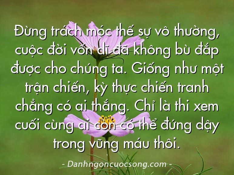 Đừng trách móc thế sự vô thường, cuộc đời vốn dĩ đã không bù đắp được cho chúng ta. Giống như một trận chiến, kỳ thực chiến tranh chẳng có ai thắng. Chỉ là thi xem cuối cùng ai còn có thể đứng dậy trong vũng máu thôi.