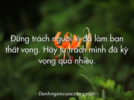 Đừng trách người vì đã làm bạn thất vọng. Hãy tự trách mình đã kỳ vọng quá nhiều.