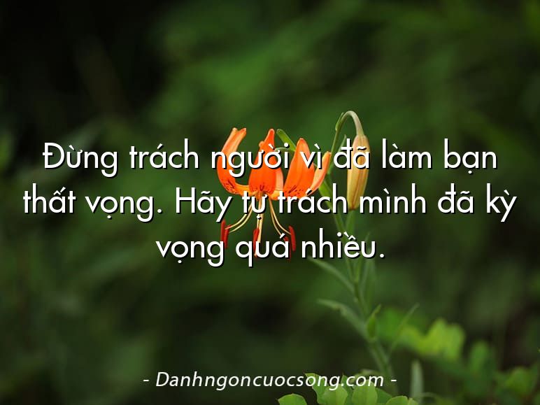 Đừng trách người vì đã làm bạn thất vọng. Hãy tự trách mình đã kỳ vọng quá nhiều.