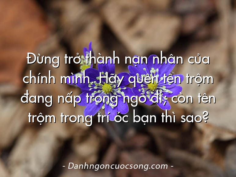 Đừng trở thành nạn nhân của chính mình. Hãy quên tên trộm đang nấp trong ngõ đi; còn tên trộm trong trí óc bạn thì sao?