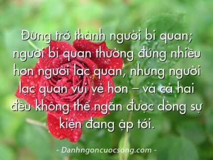 Đừng trở thành người bi quan; người bi quan thường đúng nhiều hơn người lạc quan, nhưng người lạc quan vui vẻ hơn – vả cả hai đều không thể ngăn được dòng sự kiện đang ập tới.