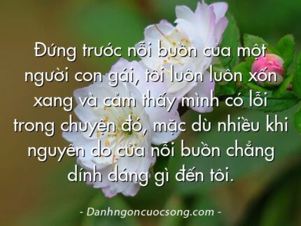 Đứng trước nỗi buồn của một người con gái, tôi luôn luôn xốn xang và cảm thấy mình có lỗi trong chuyện đó, mặc dù nhiều khi nguyên do của nỗi buồn chẳng dính dáng gì đến tôi.