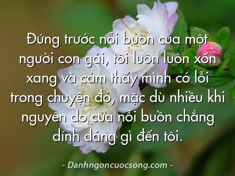 Đứng trước nỗi buồn của một người con gái, tôi luôn luôn xốn xang và cảm thấy mình có lỗi trong chuyện đó, mặc dù nhiều khi nguyên do của nỗi buồn chẳng dính dáng gì đến tôi.
