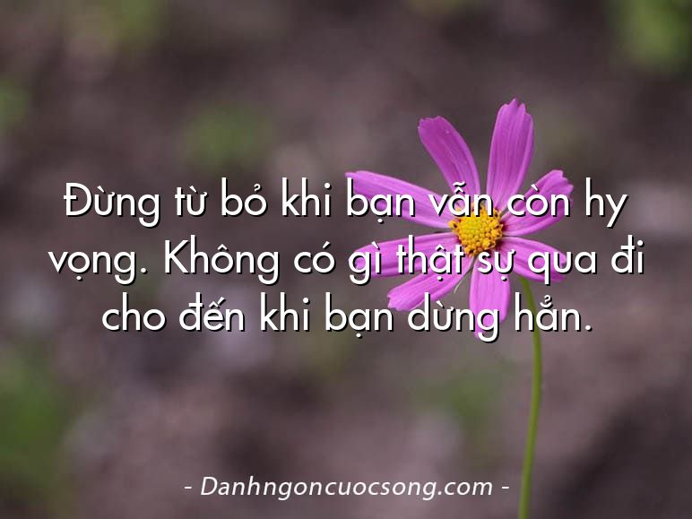Đừng từ bỏ khi bạn vẫn còn hy vọng. Không có gì thật sự qua đi cho đến khi bạn dừng hẳn.