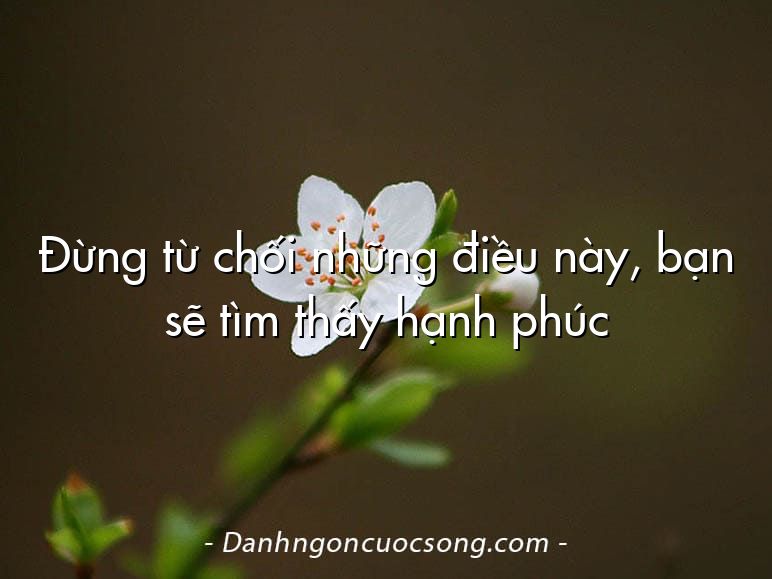 Đừng từ chối những điều này, bạn sẽ tìm thấy hạnh phúc