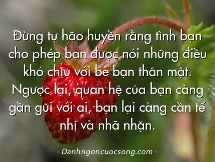 Đừng tự hão huyền rằng tình bạn cho phép bạn được nói những điều khó chịu với bè bạn thân mật. Ngược lại, quan hệ của bạn càng gần gũi với ai, bạn lại càng cần tế nhị và nhã nhặn.