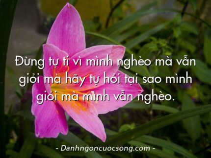 Đừng tự ti vì mình nghèo mà vẫn giỏi mà hãy tự hỏi tại sao mình giỏi mà mình vẫn nghèo.