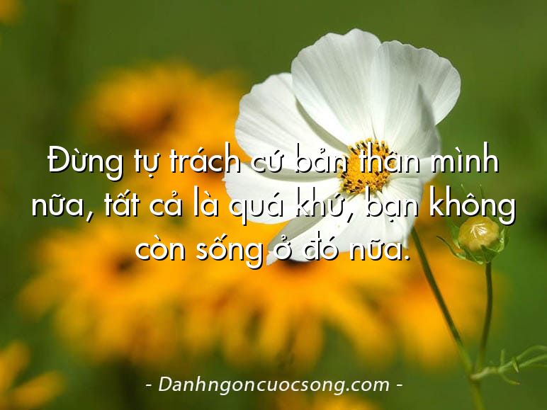 Đừng tự trách cứ bản thân mình nữa, tất cả là quá khứ, bạn không còn sống ở đó nữa.