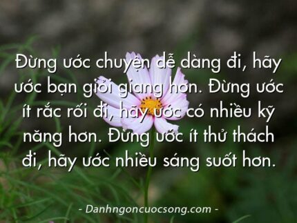 Đừng ước chuyện dễ dàng đi, hãy ước bạn giỏi giang hơn. Đừng ước ít rắc rối đi, hãy ước có nhiều kỹ năng hơn. Đừng ước ít thử thách đi, hãy ước nhiều sáng suốt hơn.