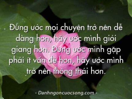 Đừng ước mọi chuyện trở nên dễ dàng hơn, hãy ước mình giỏi giang hơn. Đừng ước mình gặp phải ít vấn đề hơn, hãy ước mình trở nên thông thái hơn.