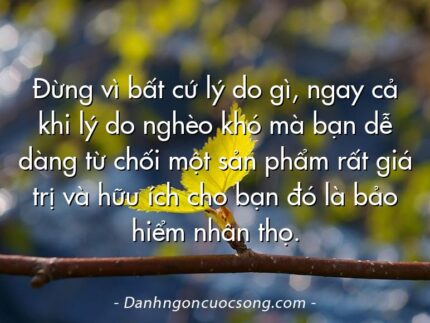 Đừng vì bất cứ lý do gì, ngay cả khi lý do nghèo khó mà bạn dễ dàng từ chối một sản phẩm rất giá trị và hữu ích cho bạn đó là bảo hiểm nhân thọ.