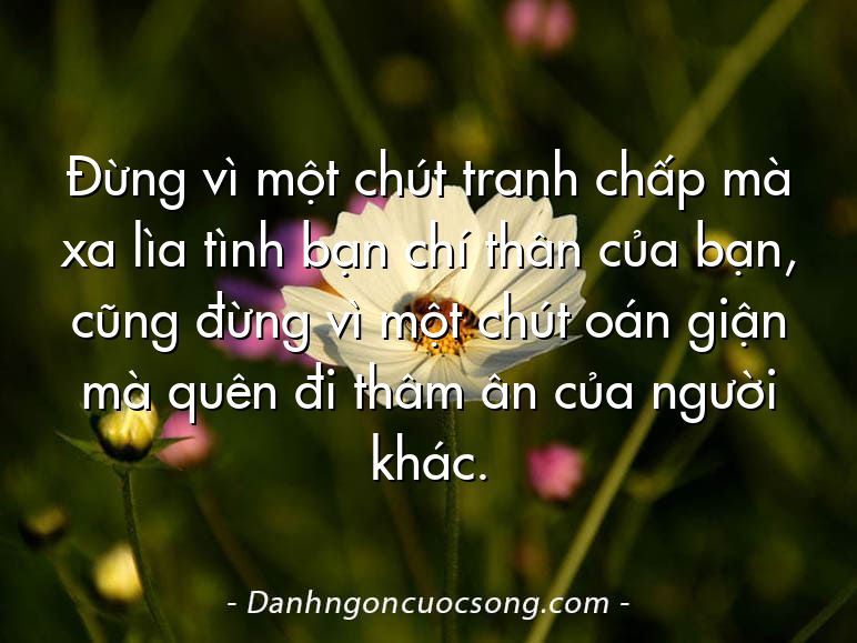 Đừng vì một chút tranh chấp mà xa lìa tình bạn chí thân của bạn, cũng đừng vì một chút oán giận mà quên đi thâm ân của người khác.
