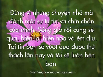 Đừng vì những chuyện nhỏ mà đánh mất sự tự tin và chín chắn của mình. Sóng gió rồi cũng sẽ qua, biển lại hiền hòa và êm dịu. Tôi tin bạn sẽ vượt qua được thử thách lần này và tôi sẽ luôn bên bạn.