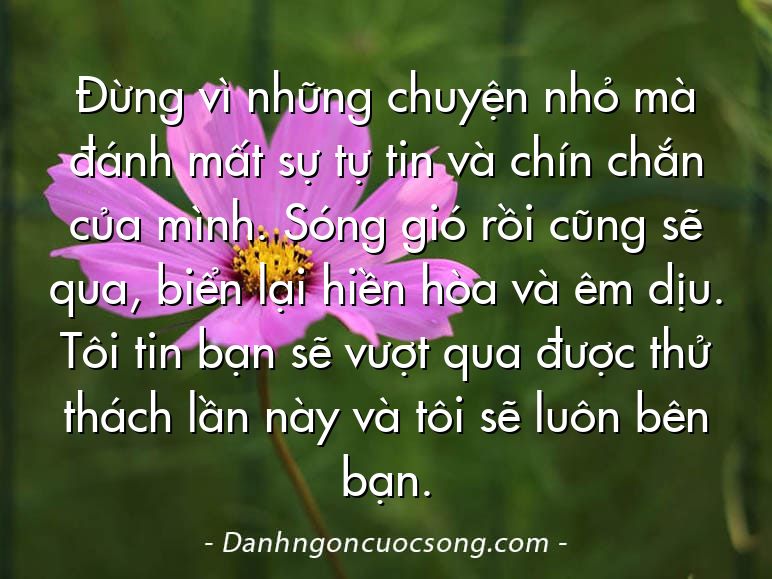Đừng vì những chuyện nhỏ mà đánh mất sự tự tin và chín chắn của mình. Sóng gió rồi cũng sẽ qua, biển lại hiền hòa và êm dịu. Tôi tin bạn sẽ vượt qua được thử thách lần này và tôi sẽ luôn bên bạn.