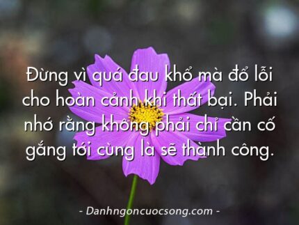 Đừng vì quá đau khổ mà đổ lỗi cho hoàn cảnh khi thất bại. Phải nhớ rằng không phải chỉ cần cố gắng tới cùng là sẽ thành công.
