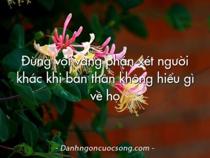 Đừng vội vàng phán xét người khác khi bản thân không hiểu gì về họ