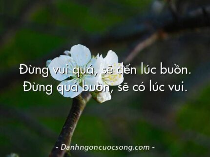 Đừng vui quá, sẽ đến lúc buồn. Đừng quá buồn, sẽ có lúc vui.