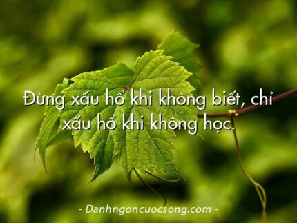 Đừng xấu hổ khi không biết, chỉ xấu hổ khi không học.