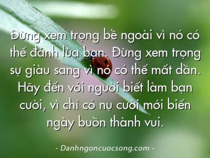 Đừng xem trọng bề ngoài vì nó có thể đánh lừa bạn. Đừng xem trọng sự giàu sang vì nó có thể mất dần. Hãy đến với người biết làm bạn cười, vì chỉ có nụ cười mới biến ngày buồn thành vui.