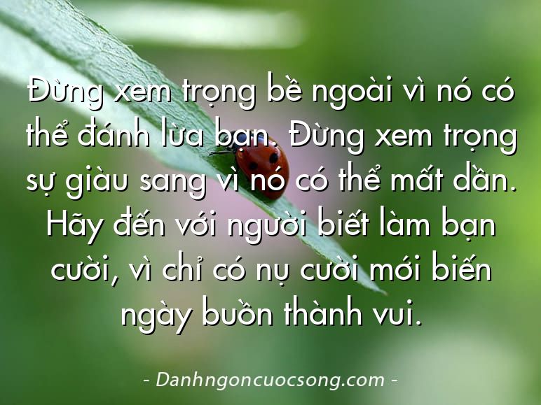 Đừng xem trọng bề ngoài vì nó có thể đánh lừa bạn. Đừng xem trọng sự giàu sang vì nó có thể mất dần. Hãy đến với người biết làm bạn cười, vì chỉ có nụ cười mới biến ngày buồn thành vui.
