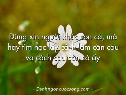 Đừng xin người khác con cá, mà hãy tìm học lấy cách làm cần câu và cách câu con cá ấy
