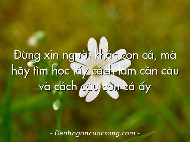 Đừng xin người khác con cá, mà hãy tìm học lấy cách làm cần câu và cách câu con cá ấy