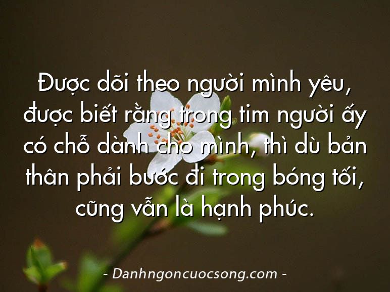 Được dõi theo người mình yêu, được biết rằng trong tim người ấy có chỗ dành cho mình, thì dù bản thân phải bước đi trong bóng tối, cũng vẫn là hạnh phúc.