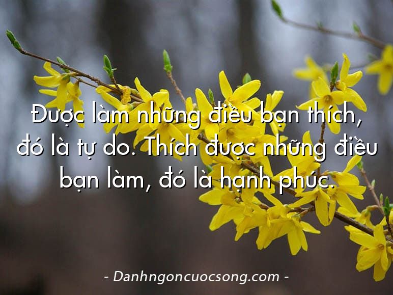 Được làm những điều bạn thích, đó là tự do. Thích được những điều bạn làm, đó là hạnh phúc.