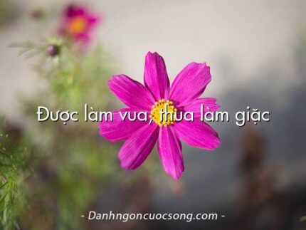 Được làm vua, thua làm giặc