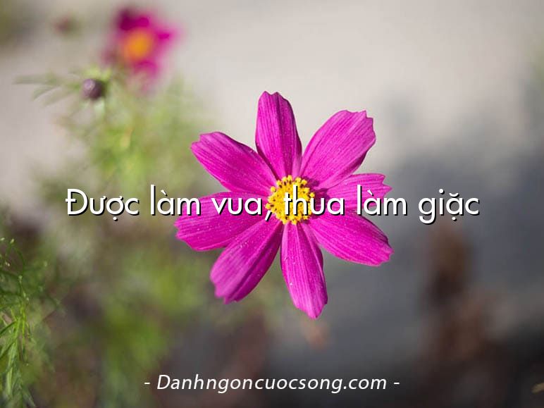Được làm vua, thua làm giặc