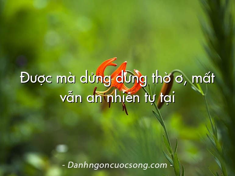 Được mà dửng dưng thờ ơ, mất vẫn an nhiên tự tại