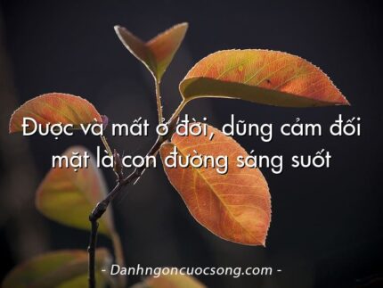 Được và mất ở đời, dũng cảm đối mặt là con đường sáng suốt