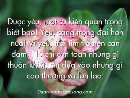 Được yêu, một sự kiện quan trọng biết bao! Yêu, càng trọng đại hơn nữa! Vì yêu, trái tim trở nên can đảm. Nó chỉ còn toàn những gì thuần khiết, chỉ dựa vào những gì cao thượng và lớn lao.