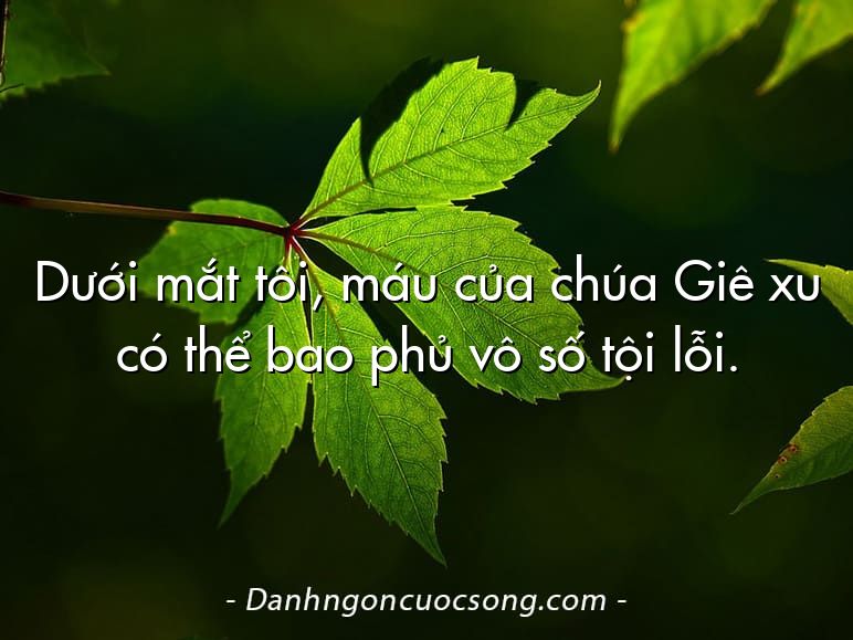 Dưới mắt tôi, máu của chúa Giê xu có thể bao phủ vô số tội lỗi.