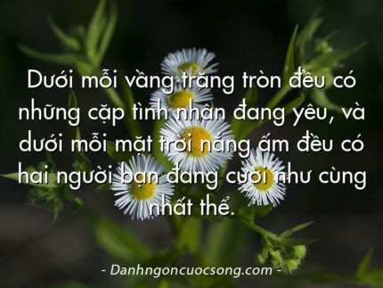 Dưới mỗi vầng trăng tròn đều có những cặp tình nhân đang yêu, và dưới mỗi mặt trời nắng ấm đều có hai người bạn đang cười như cùng nhất thể.