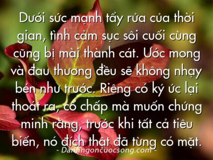 Dưới sức mạnh tẩy rửa của thời gian, tình cảm sục sôi cuối cùng cũng bị mài thành cát. Ước mong và đau thương đều sẽ không nhạy bén như trước. Riêng có ký ức lại thoát ra, cố chấp mà muốn chứng minh rằng, trước khi tất cả tiêu biến, nó đích thật đã từng có mặt.