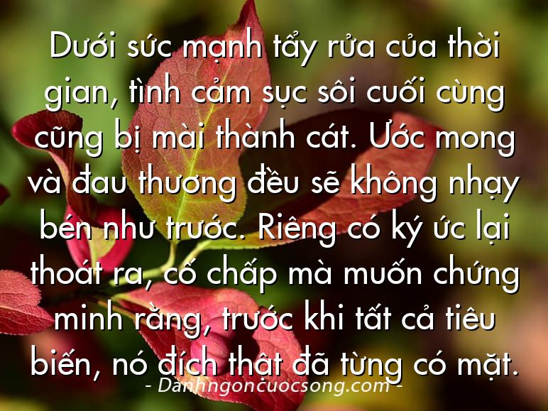 Dưới sức mạnh tẩy rửa của thời gian, tình cảm sục sôi cuối cùng cũng bị mài thành cát. Ước mong và đau thương đều sẽ không nhạy bén như trước. Riêng có ký ức lại thoát ra, cố chấp mà muốn chứng minh rằng, trước khi tất cả tiêu biến, nó đích thật đã từng có mặt.