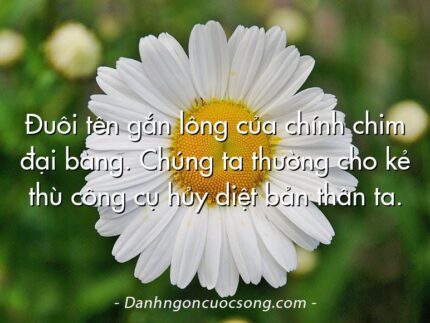 Đuôi tên gắn lông của chính chim đại bàng. Chúng ta thường cho kẻ thù công cụ hủy diệt bản thân ta.