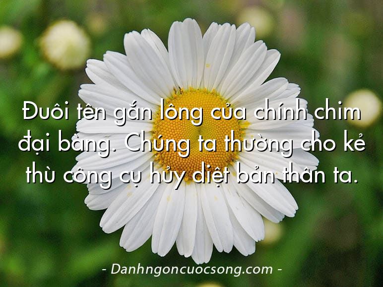 Đuôi tên gắn lông của chính chim đại bàng. Chúng ta thường cho kẻ thù công cụ hủy diệt bản thân ta.