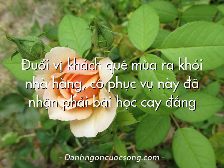 Đuổi vị khách quê mùa ra khỏi nhà hàng, cô phục vụ này đã nhận phải bài học cay đắng