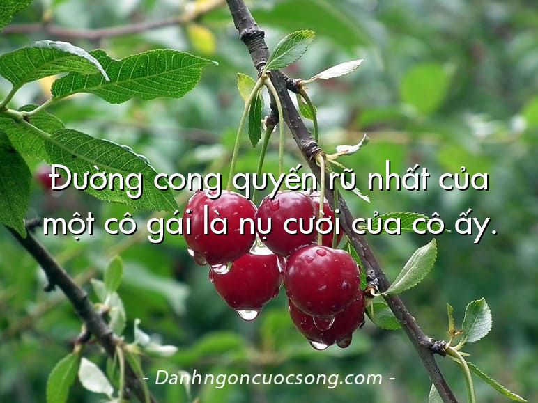 Đường cong quyến rũ nhất của một cô gái là nụ cười của cô ấy.