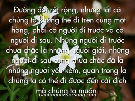Đường đời rất rộng, nhưng tất cả chúng ta không thể đi trên cùng một hàng, phải có người đi trước và có người đi sau. Những người đi trước chưa chắc là những người giỏi, những người đi sau cũng chưa chắc đã là những người yếu kém, quan trọng là chúng ta có thể đi được đến cái đích mà chúng ta muốn.