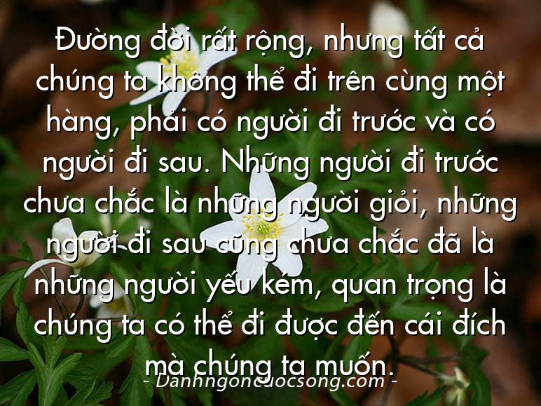 Đường đời rất rộng, nhưng tất cả chúng ta không thể đi trên cùng một hàng, phải có người đi trước và có người đi sau. Những người đi trước chưa chắc là những người giỏi, những người đi sau cũng chưa chắc đã là những người yếu kém, quan trọng là chúng ta có thể đi được đến cái đích mà chúng ta muốn.