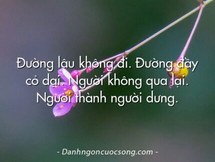 Đường lâu không đi. Đường đầy cỏ dại. Người không qua lại. Người thành người dưng.